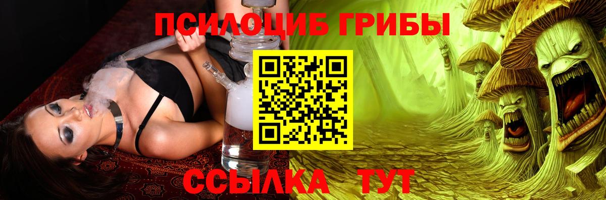 Галлюциногенные грибы прущие грибы Славянск-на-Кубани